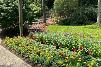 Perfect Image - Lancaster, PA