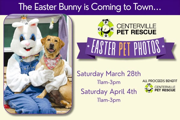 That Fish Place - Lancaster, PA