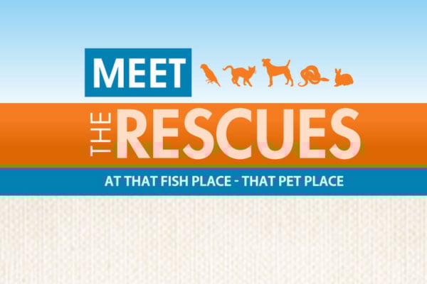 That Fish Place - Lancaster, PA