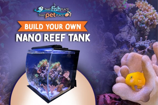 That Fish Place - Lancaster, PA