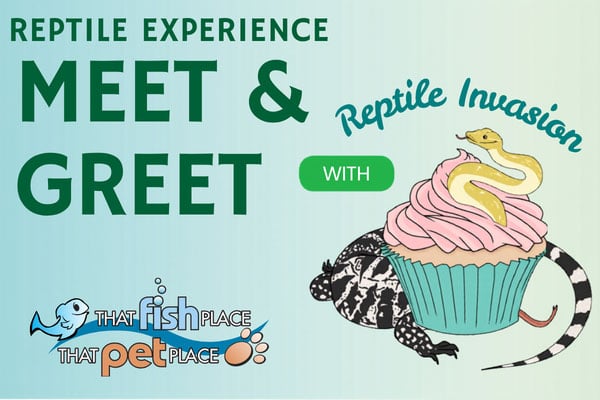 That Fish Place - Lancaster, PA