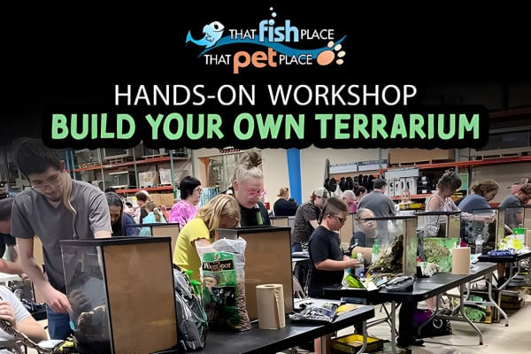 That Fish Place - Lancaster, PA