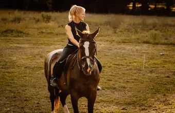 Aaron & Jessica's Buggy Rides in Bird-in-Hand, PA