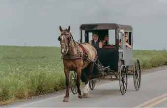 Aaron & Jessica's Buggy Rides in Bird-in-Hand, PA