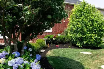 B&M Property Service - Lancaster, PA