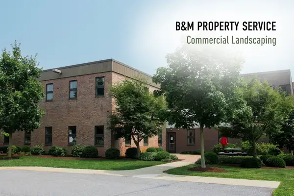 Fern and Fountain Wedding Photography - Lancaster, PA