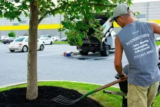 B&M Property Service