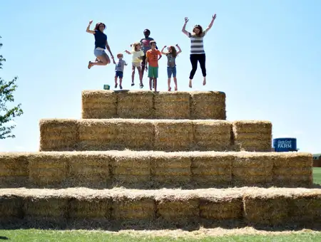 Cherry Crest Adventure Farm - Strasburg, PA