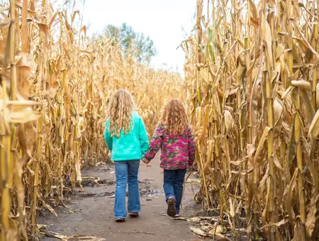 Cherry Crest Adventure Farm - Strasburg, PA