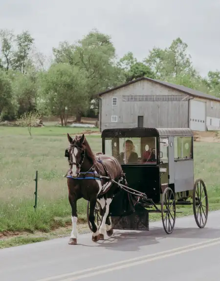 Amish horse and buggy ride on a country road past a barn in Lancaster County PA
