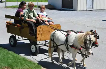 Family riding miniature horse-drawn wagon at a Lancaster County PA amusement park