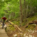Mountain biker riding wooded trail in Lancaster County PA