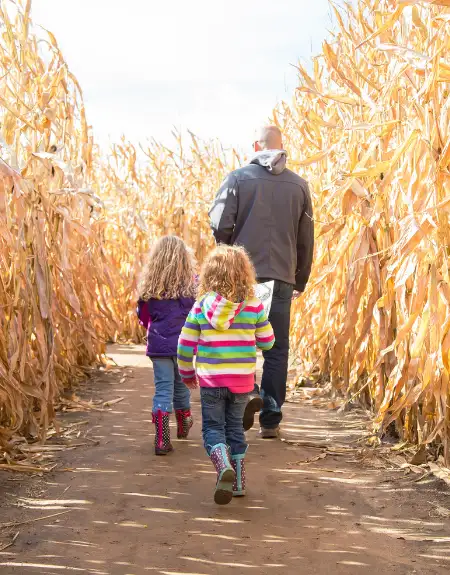 Family walking through a fall corn maze in Lancaster County PA