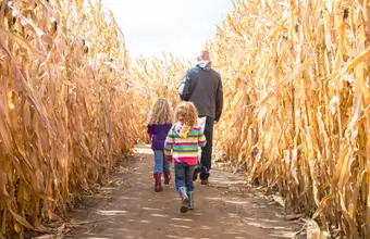 Family walking through a corn maze together, fall family activity in Lancaster PA