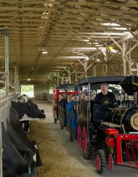 Family riding a mini train through the dairy barn on a farm tour at Oregon Dairy in Lancaster County PA