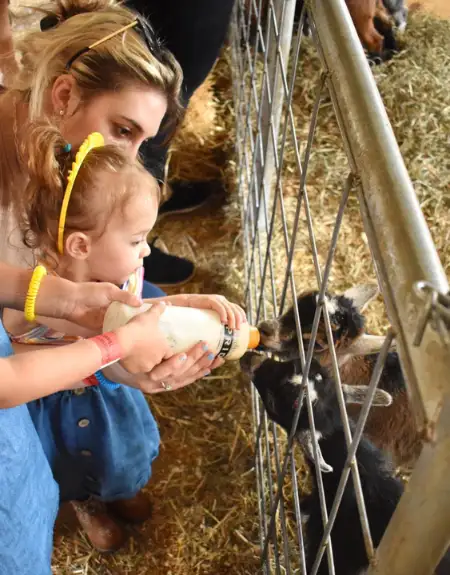 Mother and toddler bottle feeding a baby goat at Old Windmill Farm in Lancaster County PA