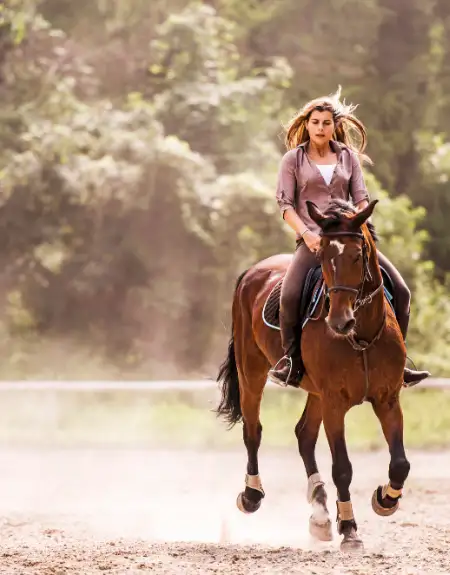 Woman horseback riding on a trail in Lancaster County PA