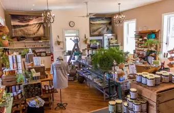 Boutique gift and wellness shop interior with plants and artisan products in Lancaster PA