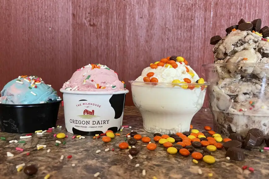 Colorful ice cream scoops with candy toppings from The Milkhouse at Oregon Dairy in Lancaster PA
