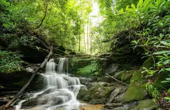 Wooded waterfall along a hiking trail in Lancaster County PA