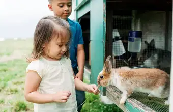 Children feeding a rabbit at a petting zoo in Lancaster County PA