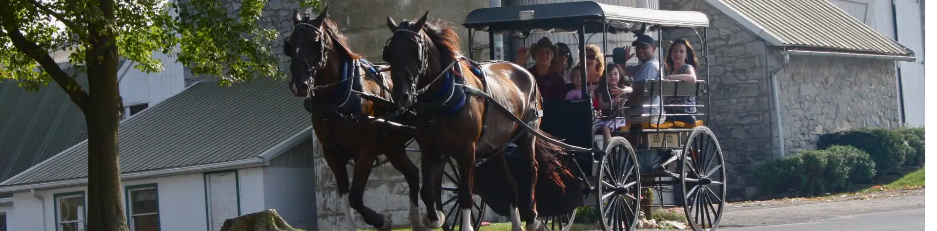 AAA Buggy Rides - Intercourse, PA Amish Country - LancasterPA.com