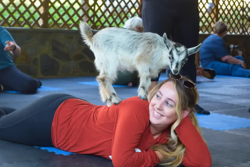 Amish Farm and House goat yoga class with baby goat and smiling participant in Lancaster PA