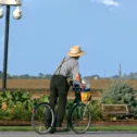 Amish man on bicycle with Lancaster PA farmland in the background