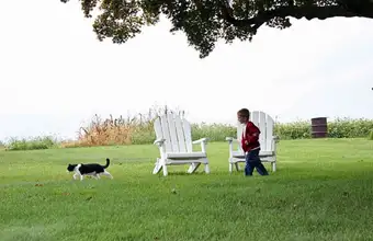 Child and dog playing on a green lawn with Adirondack chairs at Meadow View Farm bed and breakfast in Lancaster PA