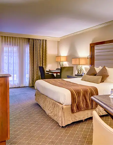 Pet-friendly hotel room at Eden Resort and Suites in Lan