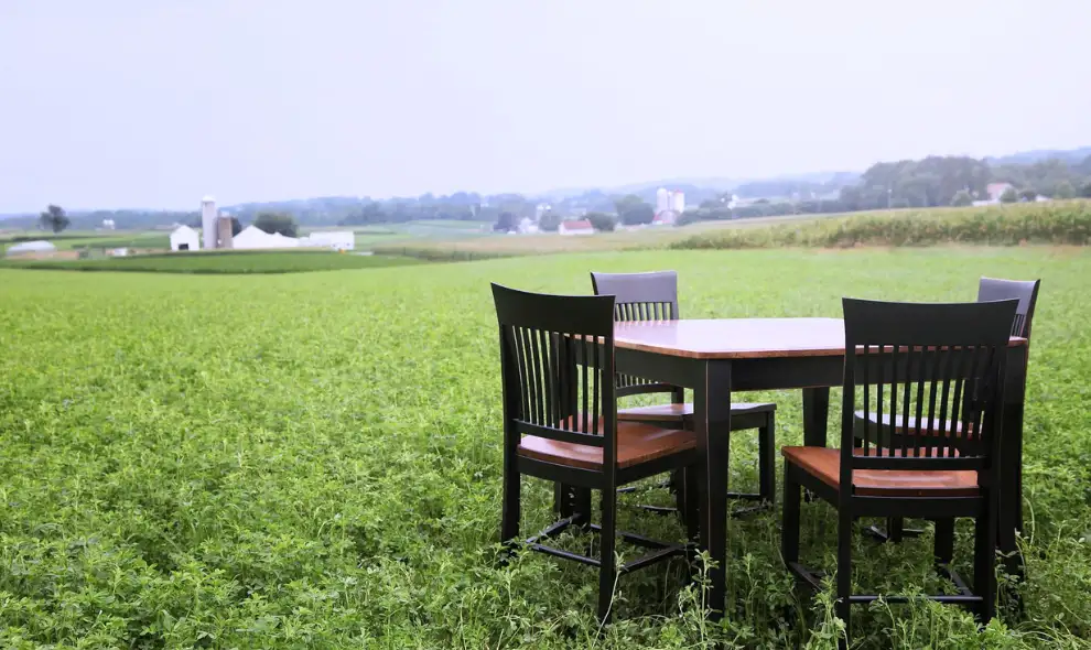 Peaceful Valley Furniture handcrafted wood dining table and chairs displayed in Lancaster County PA farmland field