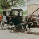 Amish carriage tour with tourists at a Bird-in-Hand PA farm stop