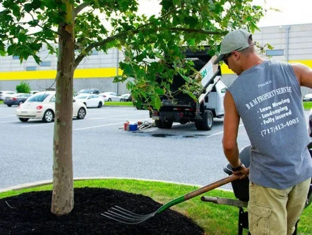 Crew member from B and M Property Service mulching a newly planted tree in a commercial parking lot in Lancaster County PA