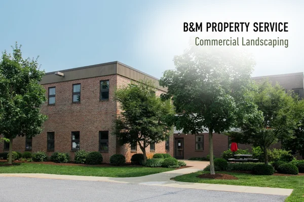 Commercial office building landscaping maintained by B&M Property Service in Lancaster, Pennsylvania
