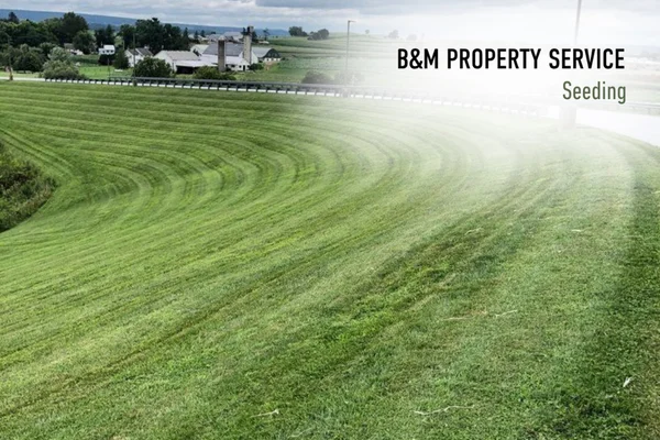Freshly seeded rolling farmland turf by B&M Property Service in Lancaster County, Pennsylvania