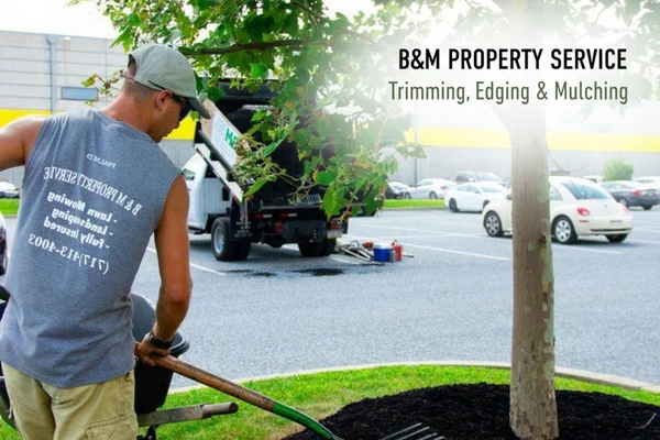 Landscaper mulching tree bed in commercial parking lot for B&M Property Service in Lancaster, Pennsylvania