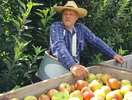 Farmer with freshly harvested apples at Cherry Hill Orchards Lancaster PA