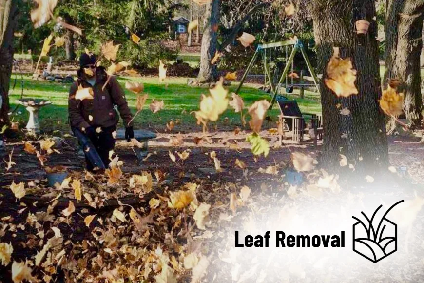 Fall leaf removal service by Heemer's Lawn Care in a Lancaster County, Pennsylvania backyard