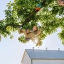 Child on tree swing overlooking a barn in Paradise PA