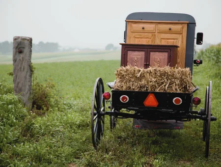 Peaceful Valley Furniture Amish buggy hauling handmade dresser and cabinet, Lancaster County craftsmanship