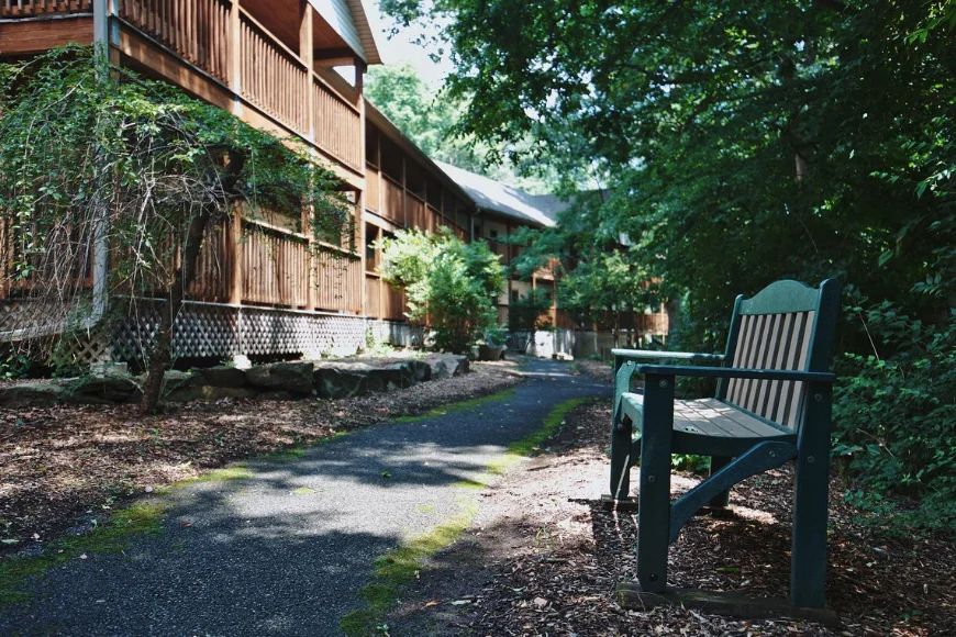 Refreshing Mountain wooded cabin retreat pathway with Adirondack chair seating in Lancaster PA