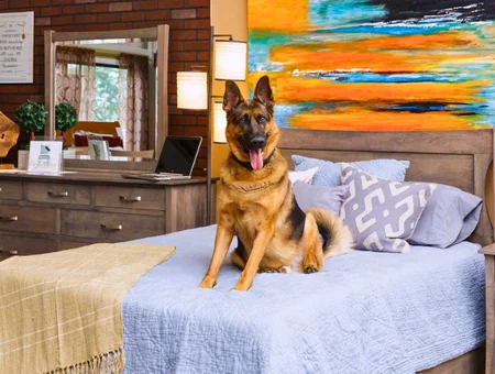 Snyder's Furniture German Shepherd sitting on bed with wood headboard and dresser, Lancaster PA hand-crafted furniture