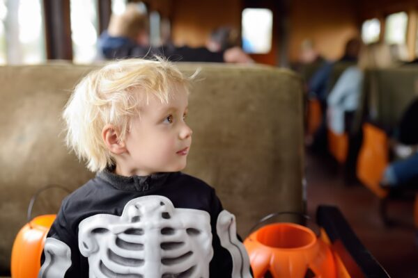 Treat Trail at the Railroad Museum of PA - Strasburg, PA