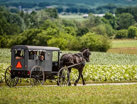 Amish Attractions
