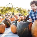 Young child in a blue plaid shirt examining large pumpkins at a farm on a sunny autumn day.