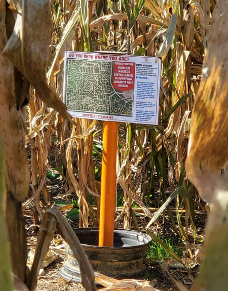 Fall Adventures for Teens with Corn Mazes - Lancaster County, PA